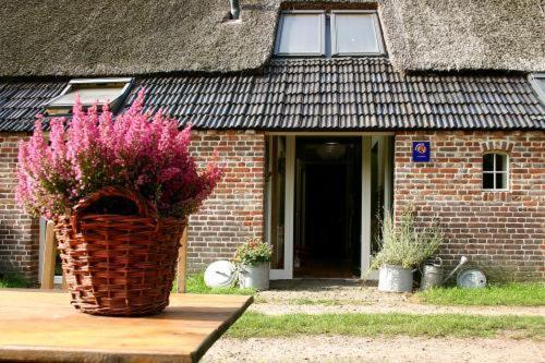 Bed And Breakfast Annen ภายนอก รูปภาพ